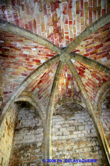 Puivert - Le Donjon : Ancienne Chapelle (niveau 3) du donjon : Plafond constitué d'une croisée d'ogives sur 6 nervures.