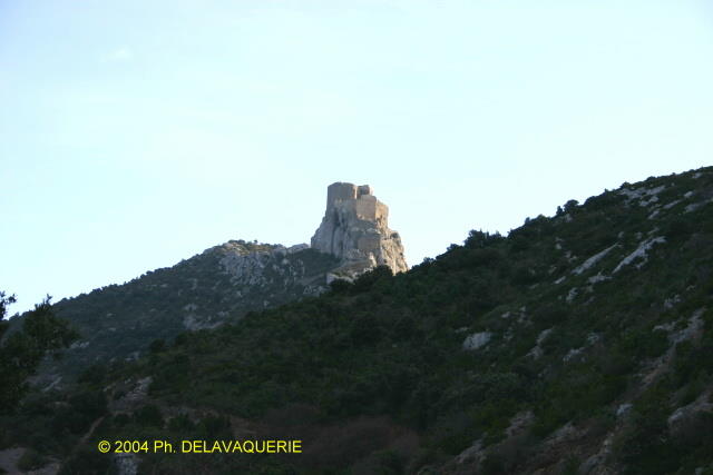 Quéribus - Vue générale du château