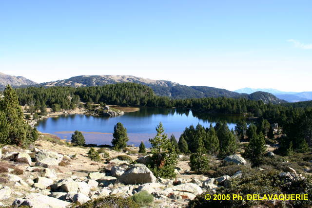 Les Bouillouses - Site des Bouillouses : Estany del Negre (Altitude 2100 m).