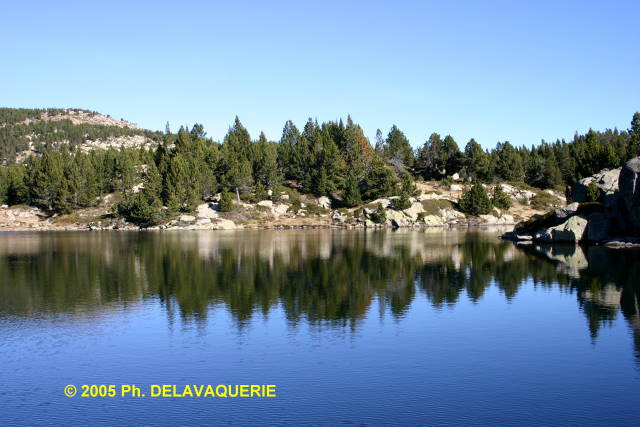 Les Bouillouses - Site des Bouillouses : Estany del viver (Altitude 2100 m).