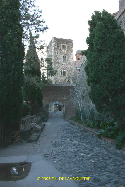 Château royal de Collioure - La fausse-braie avec au fond le dojon.