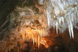 Grotte des grandes Canalettes - Le plafond des Excentriques.