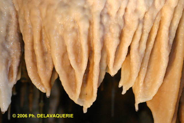 Grotte des grandes canalettes - Salle blanche : dtail.