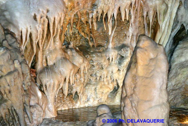 Grotte des grandes canalettes - Salle blanche : dtail.