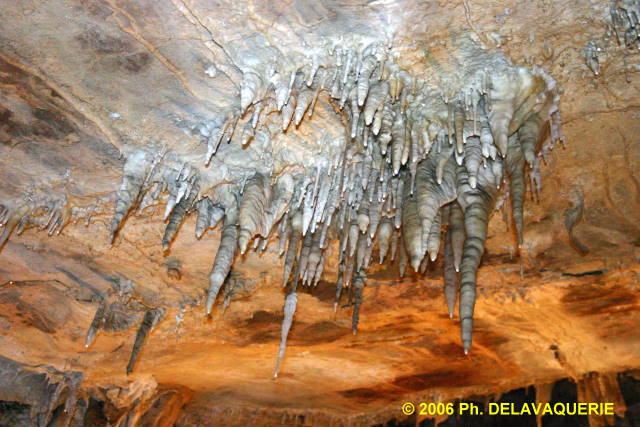 Grotte des grandes canalettes - Salle du balcon : plafond.