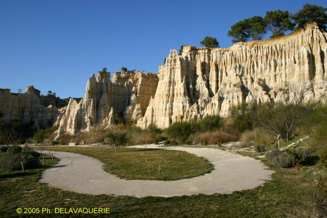 Orgues d'Ille-sur-Têt - orgues_06.jpg
