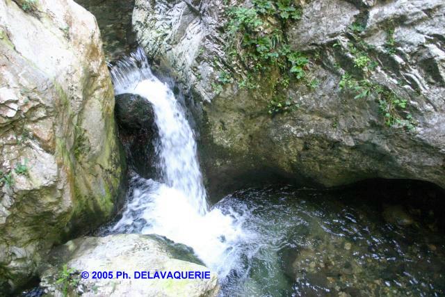 Les gorges de la Fou - Le fond des gorges.