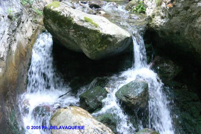 Les gorges de la Fou - Le fond des gorges.