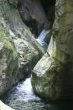 Les gorges de la Fou - Le fond des gorges.